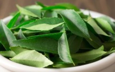 7 HEALTH BENEFITS OF CURRY LEAVES